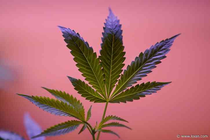 Medical cannabis expansion bill to die in Texas Senate