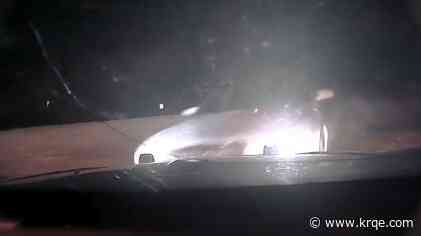 Drunk driver who crashed into NMSP cruiser takes plea deal