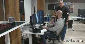 Alberta election: Albertans head to the polls at critical economic time