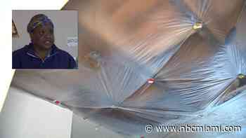 ‘Rats and Termites Fall From the Ceiling': HUD Residents Demand Better Living Conditions