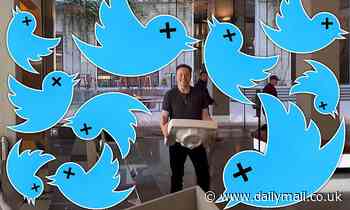 Deleted tweets revived by Twitter glitch, warn security experts and tech reporters