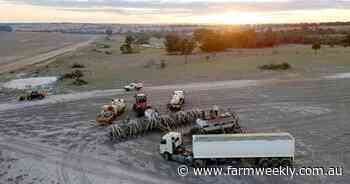 A contrasting season