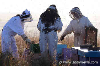 Province expands extreme weather funding program to include beekeepers, pot growers