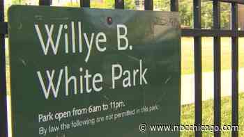 Northwestern University Student Wounded in Rogers Park Shooting