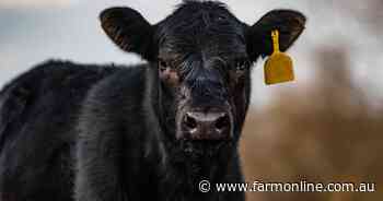 Embryo freezing tech adds fuel to IVF boom