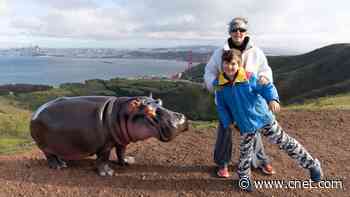 Everything I Learned Testing Photoshop's New Generative AI Tool     - CNET