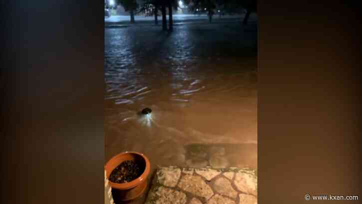 New flood mapping tool to give Williamson County residents more warning during heavy rain