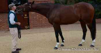 Frankel makes his mark around the globe
