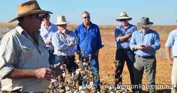 Big push for cotton as NT government unveils agribusiness strategy