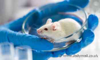 Key to longevity? Breathe LESS oxygen, says study