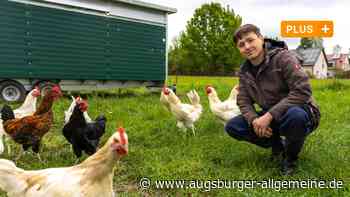 Öko-Landwirtschaft in Augsburg: "Wer einmal einen Biohahn hatte, will das wieder"
