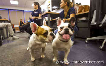 ProService Hawaii buys rival Makai HR