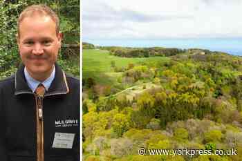 Mulgrave Estate in the North York Moors in tree planting bid