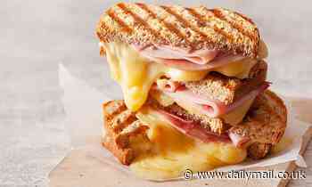 The 15 best sandwiches of all time revealed - and it's ham and cheese that's No.1