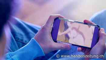 Ständeratskommission gegen Netzsperre für fehlbare Pornoseiten