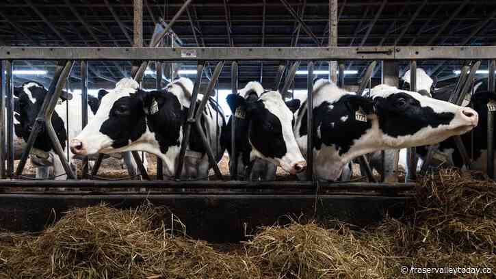 Extreme weather grants offered to B.C. farmers