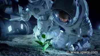 NASA serves up $750,000 to Deep Space Food Challenge winners in cook-off for astronaut eats