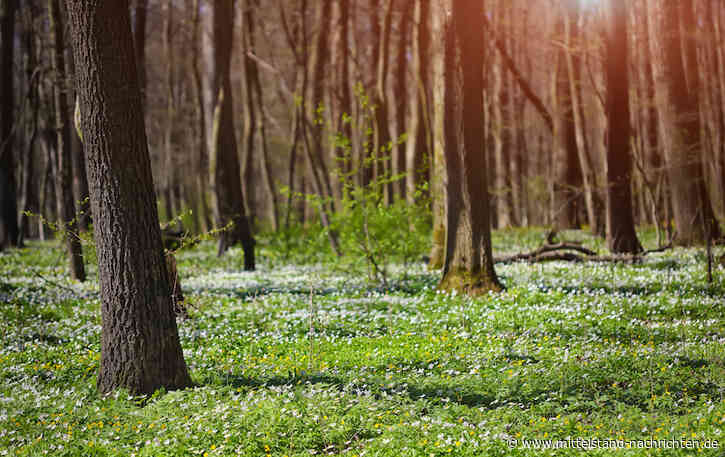 Profitieren mit Nachhaltigkeit