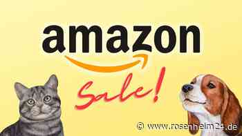 Amazon Haustier Woche: Hohe Rabatte auf Tiernahrung und weitere Produkte