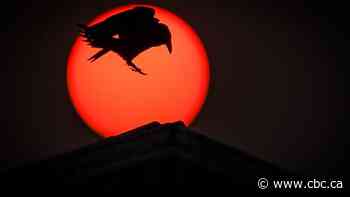 Rise in extreme wildfires linked directly to emissions from oil companies in new study