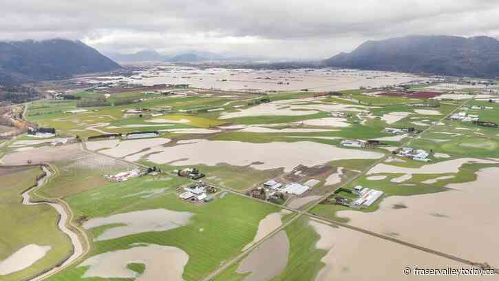 YOUR PERSPECTIVE: Preparing for our future; a call to action