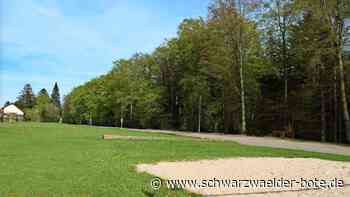 Dobler Bürgerbegehren: Ende August wird über Walderhalt abgestimmt