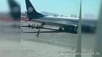 „Er will nur spielen“: Hund flüchtet auf Rollfeld vor Flughafen-Mitarbeitern