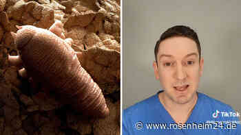 „Neue Angst freigeschaltet“: Eine „achtbeinige Kreatur“ lebt in unseren Gesichtern