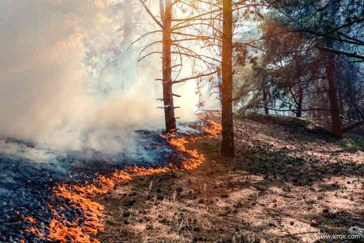 Prescribed burn near Cloudcroft postponed due to wind