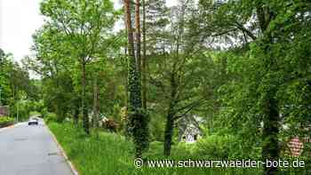 SPD und AfD dagegen: Nagold plant weitere Nachverdichtung auf dem Galgenberg