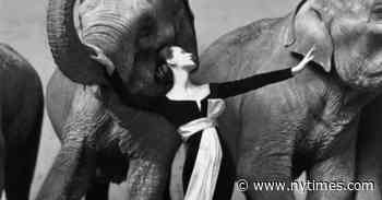 Avedon at 100: Photos of Seduction