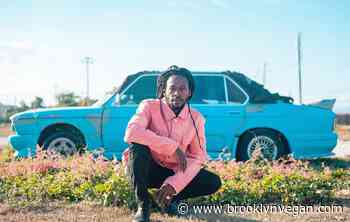 Tour news: M83, X / The English Beat, Tree, Mustard Plug, Jesse Royal, Jackson Browne, more