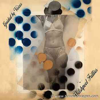 Guided by Voices announce new LP 'Welshpool Frillies,' share "Seedling"