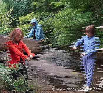 Buffalo Daughter on tour now in support of 'New Rock' & 'I' reissues