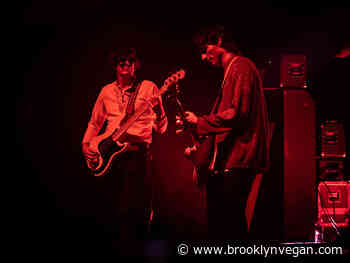 The Strokes' Nikolai Fraiture going to court against NYC neighbor over garden