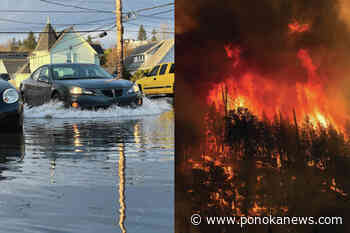 1-in-5 Canadians worried about job stability amid extreme weather events: poll