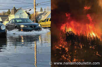 1-in-5 Canadians worried about job stability amid extreme weather events: poll