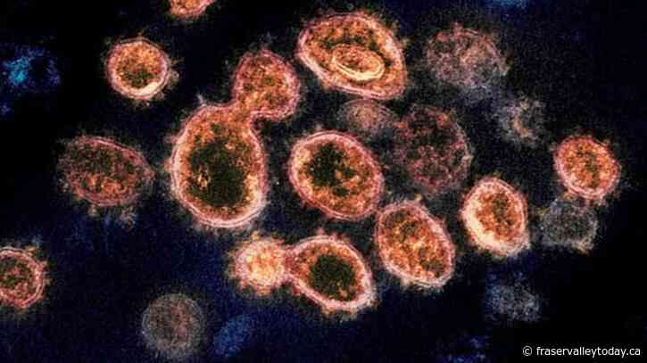 B.C. company expands antibody research, production facilities for second time