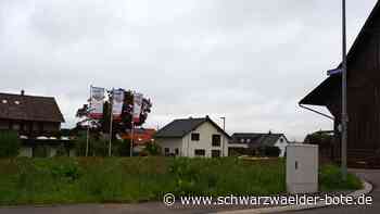 Wohnen in Bad Liebenzell: Wer darf in Zukunft noch bauen?