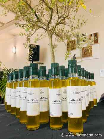 Mandelieu produit son huile d’olive 100 % locale