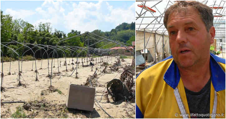 La disperazione del floricoltore del Ravennate: “Le mie serre distrutte dall’acqua e dal fango”