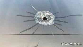 Charting gun violence in the United States