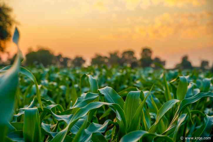 Deadline nears for New Mexico farmers to return 2022 census forms