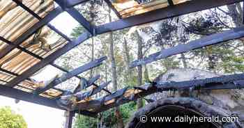 Arlington Heights woman charged with setting fire to Des Plaines shrine