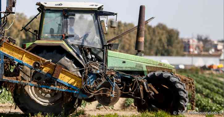 Ferrara, bimbo di cinque anni muore dopo essere stato schiacciato da un trattore: la Procura indaga per omicidio colposo