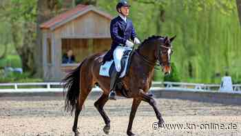 Dressurfestival Hof Norwegen: Ein neues Turnier in Schleswig-Holstein