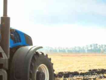 Muore a 5 anni schiacciato da un trattore: il dramma del piccolo Diego