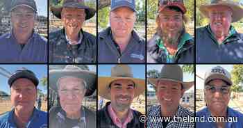 Sheep tags should cost no more than $1