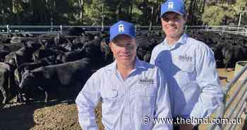 Lifting the herd from its tail