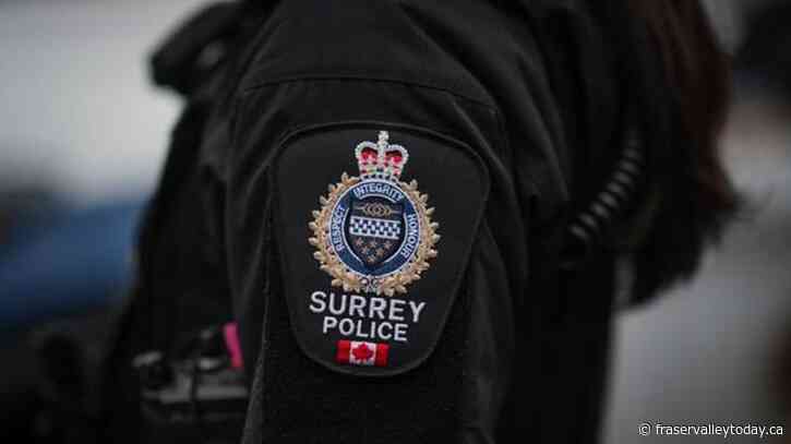 Surrey, B.C., municipal police force calls for clarity over future